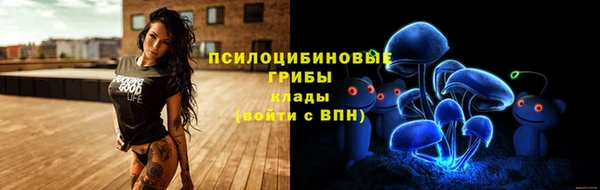 хмурый Нефтекумск