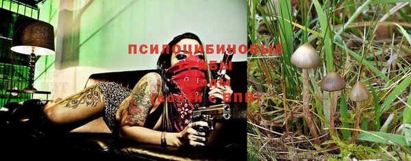 крисы Абинск