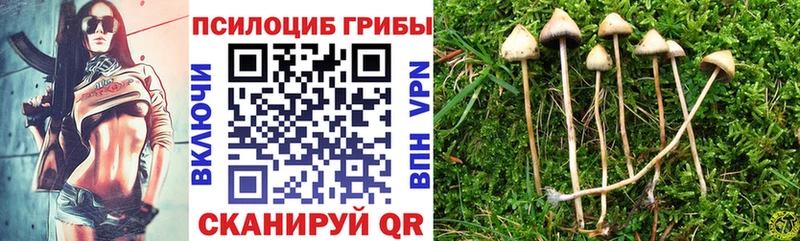 Галлюциногенные грибы мухоморы  мега ТОР  Санкт-Петербург 