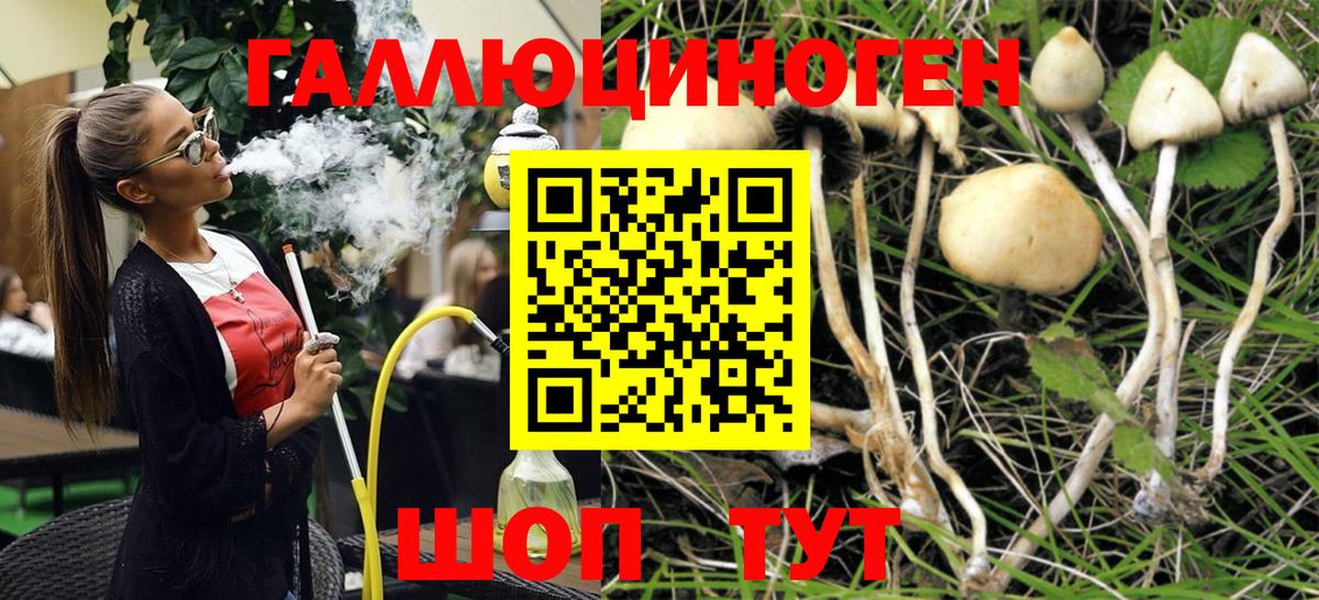 Санкт-Петербург  Псилоцибиновые грибы GOLDEN TEACHER  как найти закладки  Вход с VPN 