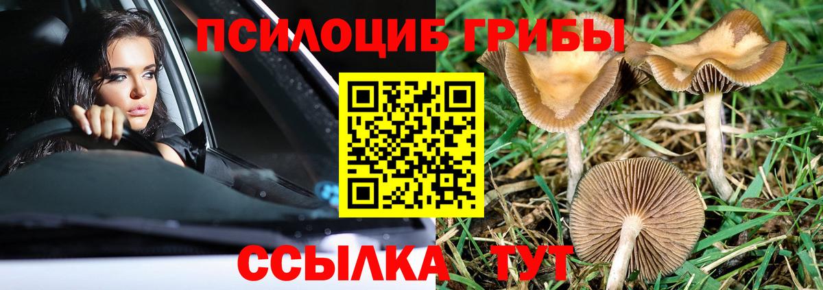 Псилоцибиновые грибы мухоморы Санкт-Петербург
