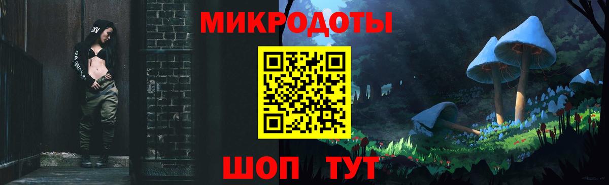 Галлюциногенные грибы Psilocybe Санкт-Петербург